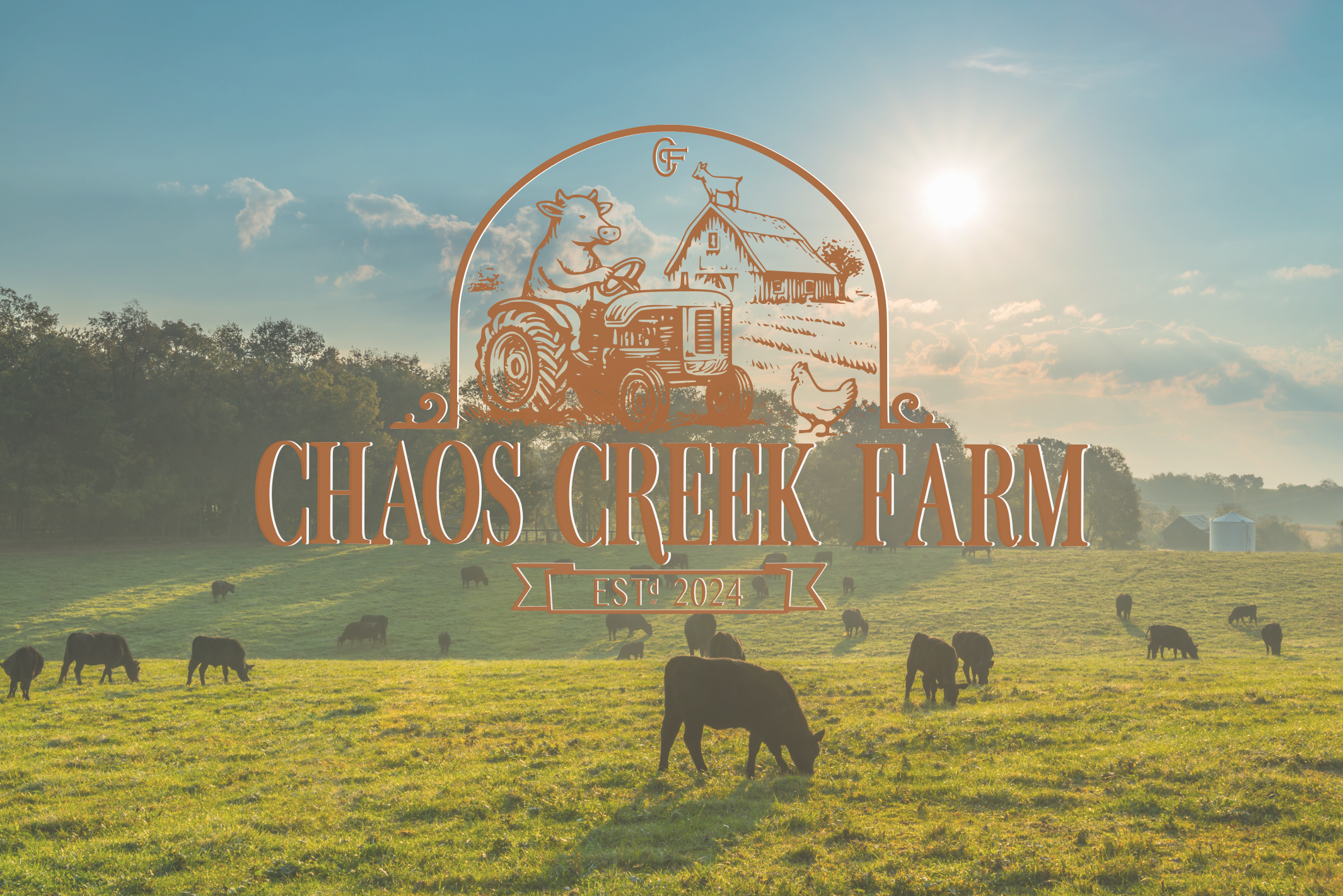 Why We Raise Beef the Way We Do (And Why It Matters More Than Ever)...